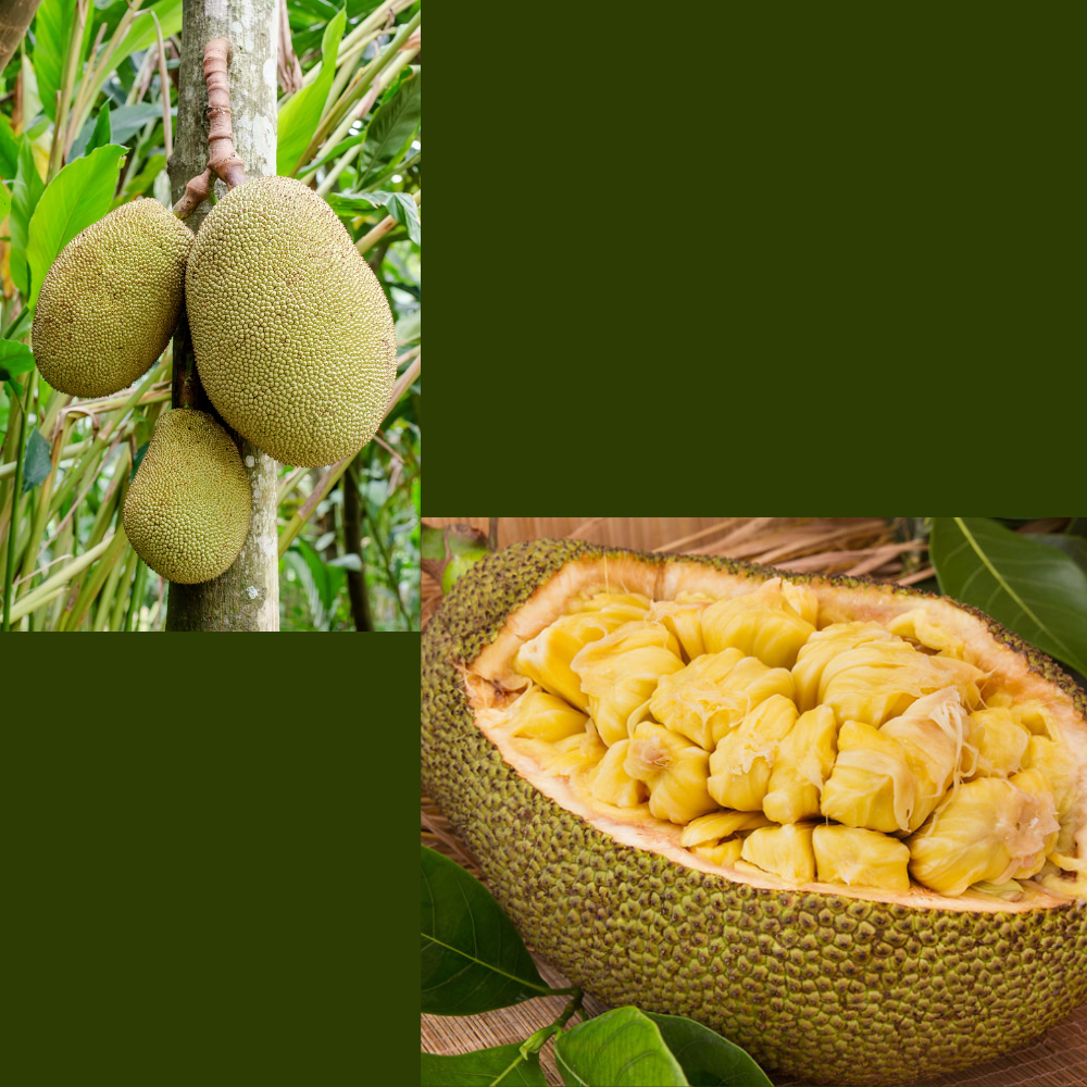 VegiNatural Jack Fruit - Image 4
